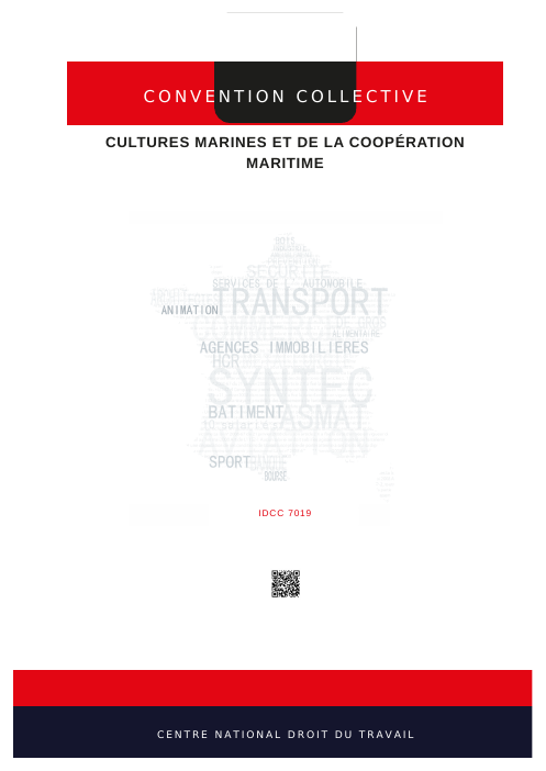Couverture IDCC7019