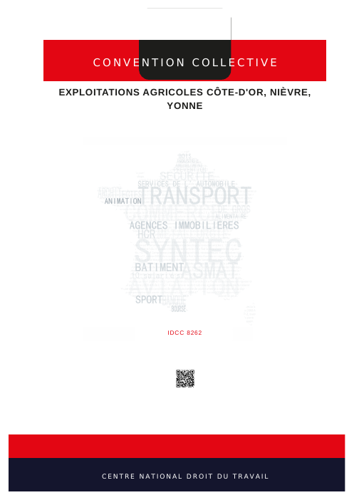 Couverture IDCC8262