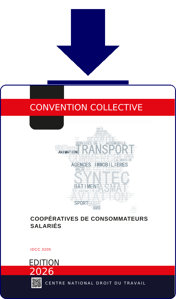 Convention IDCC3205 - Telechargement PDF