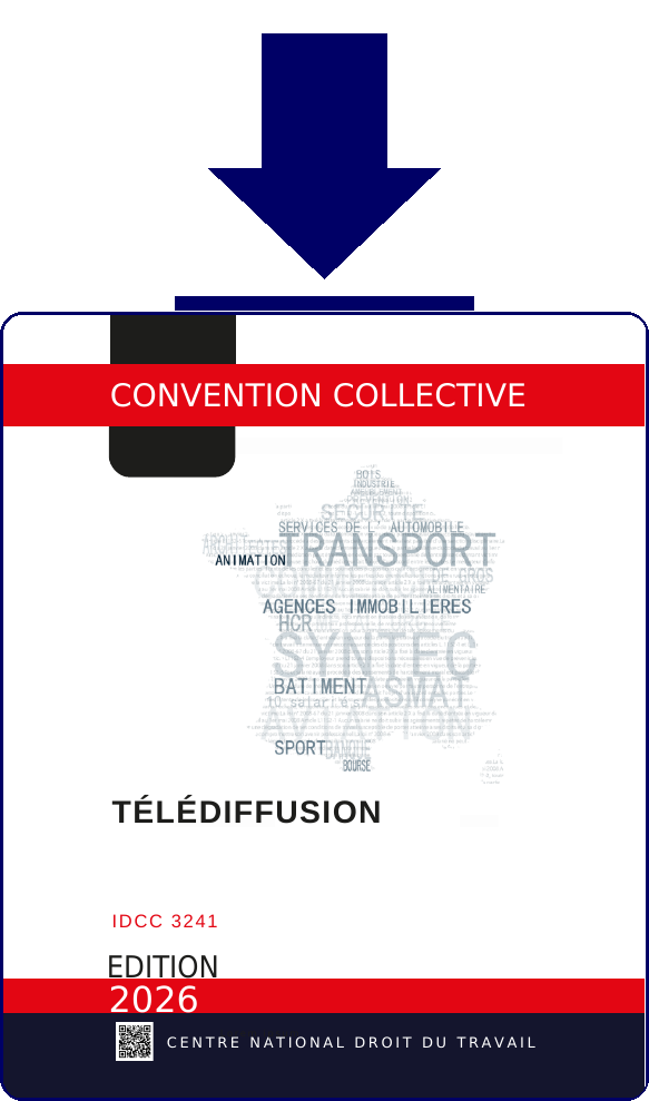Convention IDCC3241 - Telechargement PDF