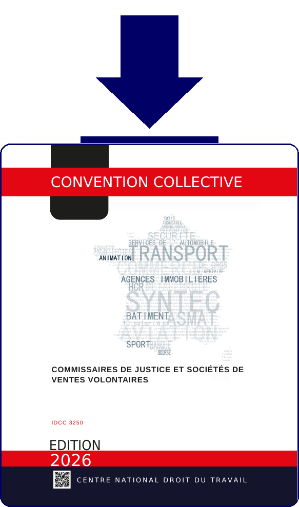 Convention IDCC3250 - Telechargement PDF